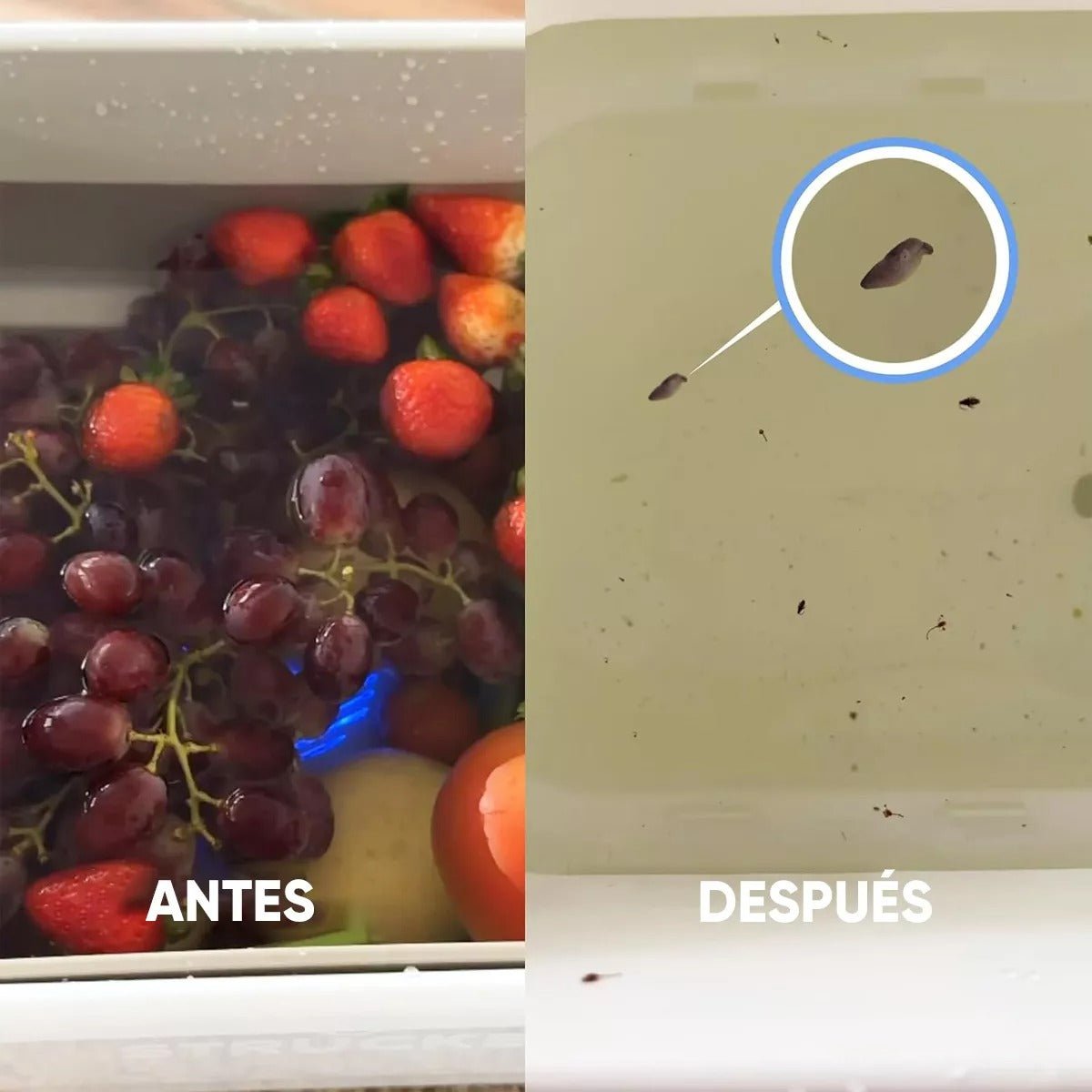 Lydsto Purificador De Frutas & Verduras - Orro Home Mexico